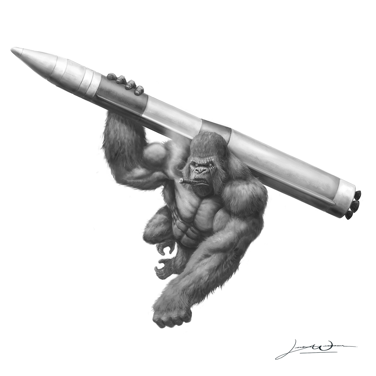 Evolution of the Missile Monkey